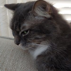 Meet your Posher, Tessa